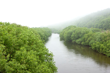 Fototapeta na wymiar 森の中を流れる大きな河川