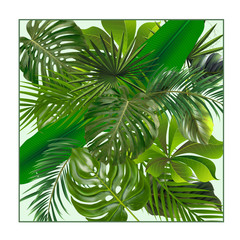 Tropical plant leaf set.Realestic palm leaves.