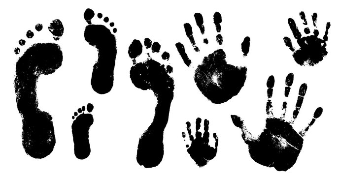Family prints of hands and feet. Set of handprints and footprints of  woman, man, and children. Vector illustration.