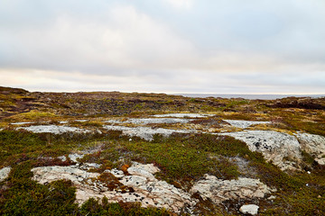Fototapeta premium Tundra landscape in the north of Norway or Russia