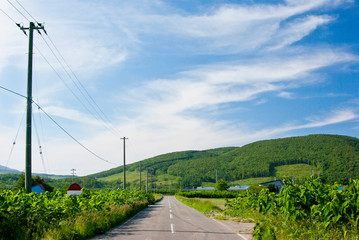 Fototapeta na wymiar 北海道松内町の雲と丘と青空景