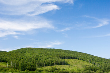 Obraz premium 北海道松内町の雲と丘と青空景