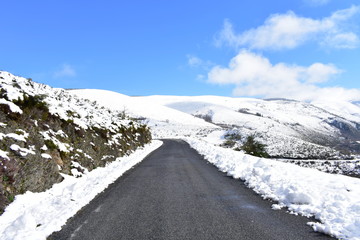 Winter landscape with road and snowy mountains with blue sky. Ancares, Lugo, Galicia, Spain.