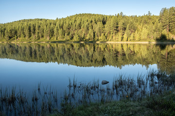 Obraz premium The shore of a mountain lake. The forest is reflected in the water. Dawn in the Altai Mountains.