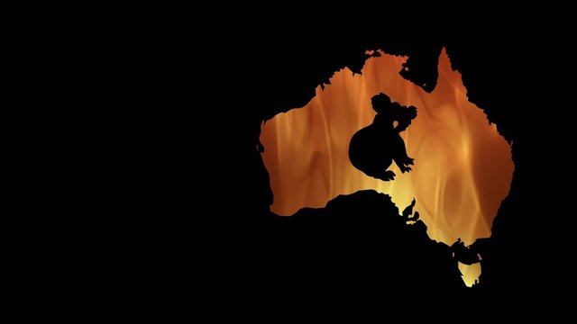 Fires in Australia. Video in motion vector illustration.