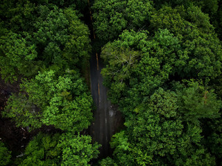 Fototapeta na wymiar Aerial capture of a winding road guiding through the Green Mountains of Vermont.