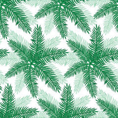 Fototapeta na wymiar Hand drawn abstract seamless pattern with green palm branch. Exotic tropical leaves isolated on a white background. Cute template for cards, fabric, wrapping paper. Vector illustration