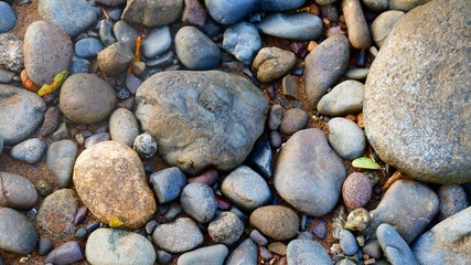 pebbles on the beach