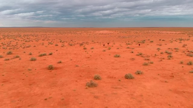 Drone Australia Outback