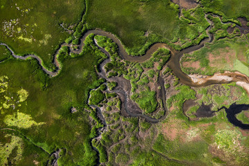 Aerial photography of Cape Cod`s awesome marshlands and pure wilderness. The picture shows green...