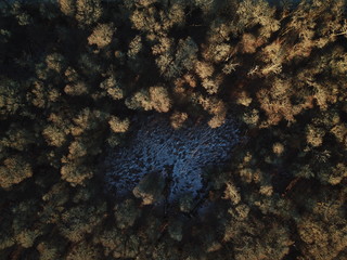 Drone over winter grass and trees