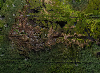 Aerial photography of Cape Cod`s awesome marshlands and pure wilderness. The picture shows green environment and an infinite diversity of the nature.