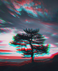 lonely tree in a field at sunrise with the rays of the sun in summer. Black and white photo with 3D glitch effect