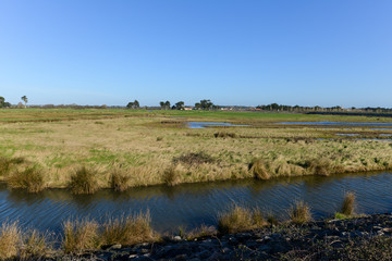 Marais breton vendéen, Pays de la Loire, 85, Vendée