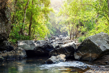 Naklejka na ściany i meble rocks in creek or stream flowing water