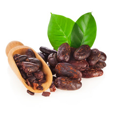 Cacao beans in wooden scoop with two leaves isolated on a white background.