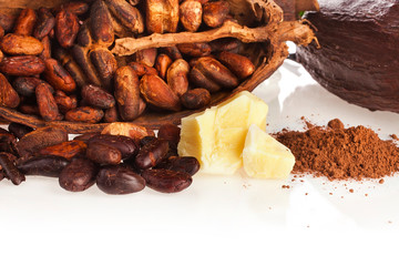 Cacao beans and powder, cacao butter and cacao nibs isolated on a white background.