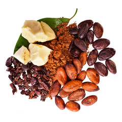 Cocoa butter, beans, powder and nibs with leaves isolated on a white background.