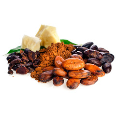 Cocoa butter, beans, powder and nibs with leaves isolated on a white background.