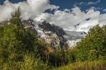 Sunny landscape with mountain Tetnuldi and its glacier view through forest trees Svaneti Georgia