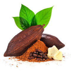 Cocoa pods, cocoa butter, cocoa beans and cacao powder with leaves isolated on a white background.