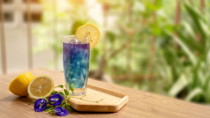A glasses of Blue and violet color Butterfly pea flower juice drinking, decoreted with yellow lemon sliced and fresh Asian pigeon wings flowers, on wooden table and green blurry background
