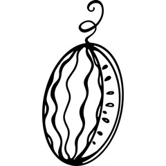 Digital illustration of a cute doodle black outline watermelon with a watermelon semicircular slice with pits. Print for paper, fabrics, textiles, banners, posters, web design, stamps.