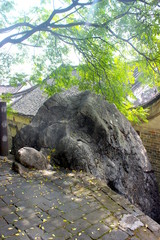tortoise rock in an old village