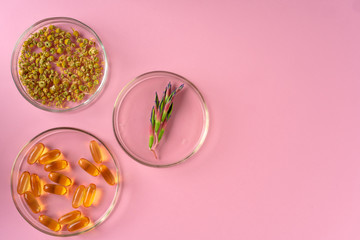 Herbs and Herbal dietary supplements top view on pink background