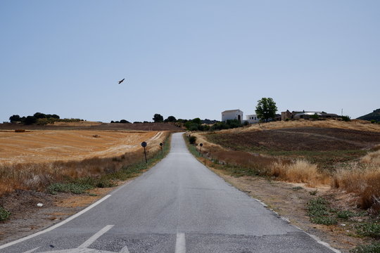 Carretera Montefrio. Granada