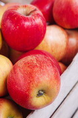 ripe red apples in a box