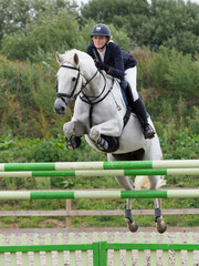 Showjumping Horse