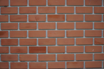 background of the colored brick wall is still fresh.