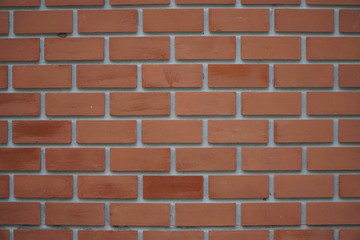 background of the colored brick wall is still fresh.