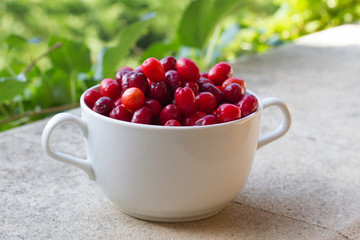 Dogwood is a sweet and sour red fruit. medicinal plant. ripe berries background vitamin. Dogwood on the background of the garden in a plate with space for text. The concept of healthy 