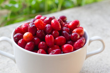 Dogwood is a sweet and sour red fruit. medicinal plant. ripe berries background vitamin. Dogwood on the background of the garden in a plate with space for text. The concept of healthy 