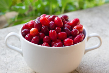 Dogwood is a sweet and sour red fruit. medicinal plant. ripe berries background vitamin. Dogwood on the background of the garden in a plate with space for text. The concept of healthy 