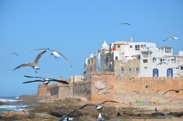 Fototapeta na wymiar Médina fortifiée d'Essaouira remparts portugais