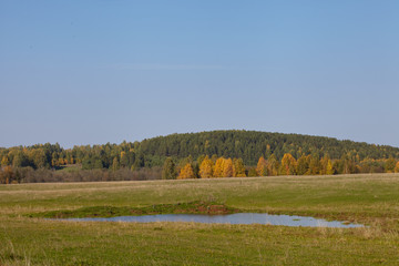 Autumn landscape with yellow foliage and blue sky