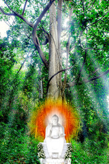 .The Buddha sat under the tree