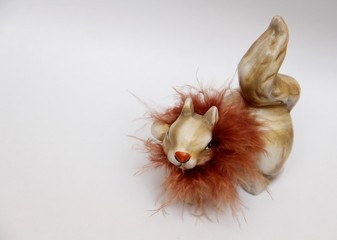 squirrel
