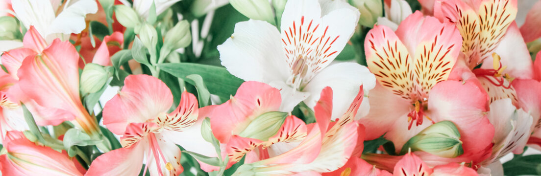 AnnyStudio photos, images, assets | Adobe Stock