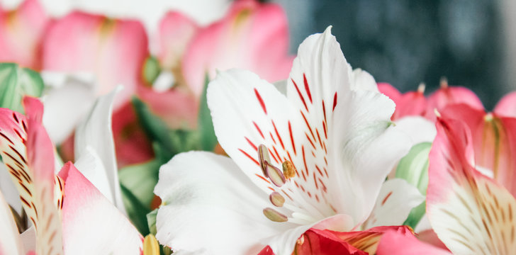 AnnyStudio photos, images, assets | Adobe Stock