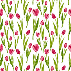 Watercolor pattern of tulip. Hand drawn illustration isolated on white background. Elegant and delicate print of flowers.