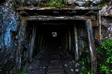 Mine dark entrace with tracks and plants