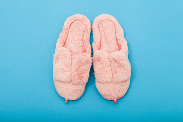 Domestic shoes with dwarf ears. On plain background with place for text.