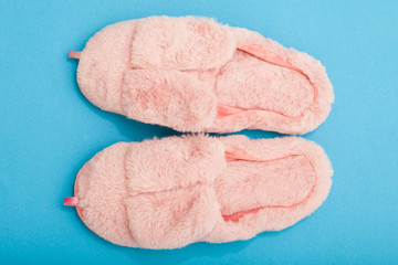 Domestic shoes with dwarf ears. On plain background.