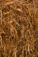 Hay texture. Hay bales are stacked in large stacks. Harvesting in agriculture. Straw texture. Yellow grass background.Alternative fuel source. Concept Alternative fuel source, Biofuel