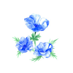 Watercolor bouquet of blue garden flowers. It looks good in the design of printing, textile products, printing, souvenir products and in many other creative fields.