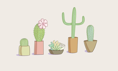 A set of illustrations depicting several flower pots with cacti in different colors and with different compositions.